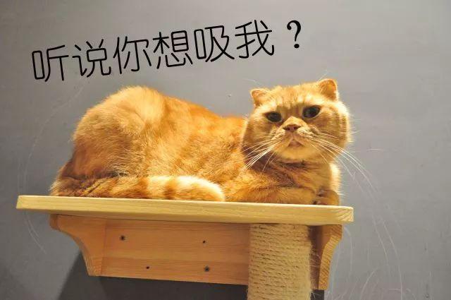 栏目分类二国产两个女女在线观看技术领先，服务专业